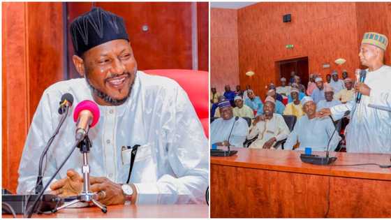 APC wins big in northern state as NNPP disbands structure, decamps to ruling party
