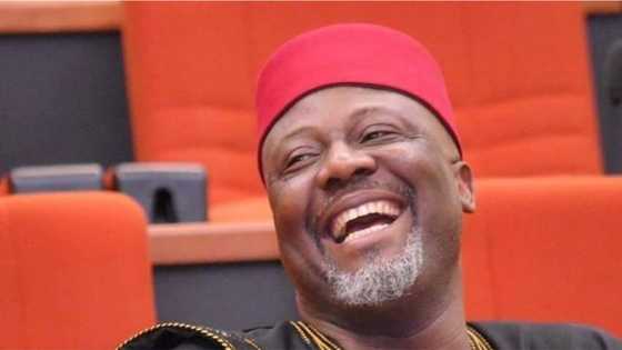 Implosion coming to APC: Ex-Senator Dino Melaye says, composes another song as he mocks ruling party in new video