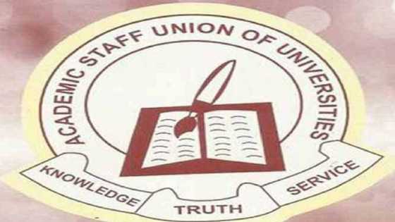 Mun gaji da yajin aiki, kuji tausayin ƴaƴan talakawa - ASUU ta roki gwamnatin tarayya