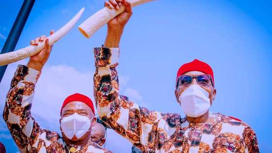 2023: Presidential appointee reveals Buhari's position on Igbo presidency