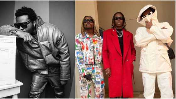 "You brought politics into music business": Man seriously drags Olamide's YBNL over Asake, Fireboy's successes