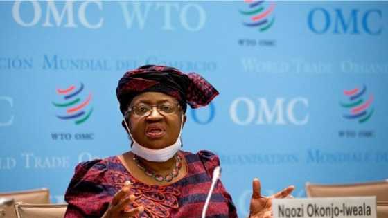 Okonjo-Iweala speaks on alleged plan to resign from WTO job, contest 2023 presidency