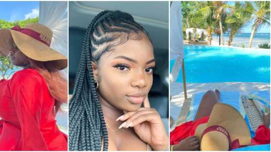 Fans gush as BBNaija's Dorathy shares beautiful throwback vacation photos from Kenya