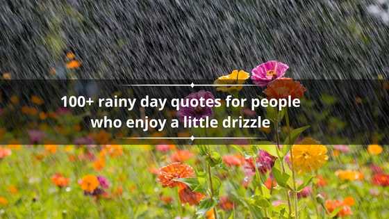 100+ rainy day quotes for people who enjoy a little drizzle