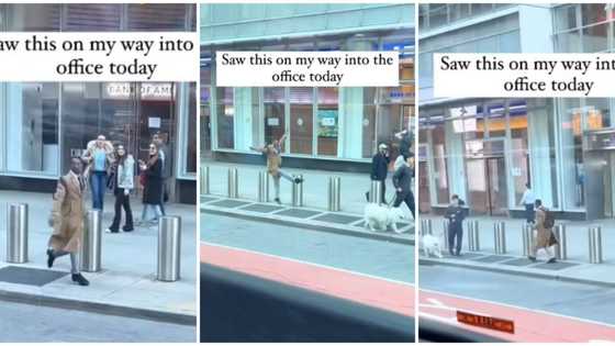 Well-dressed black man causes stir abroad on a busy road, dances for no reason, Oyinbos looked confused