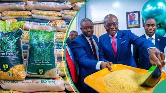 Lagos releases 40,000 cheap Eko Rice into markets as Christmas knocks