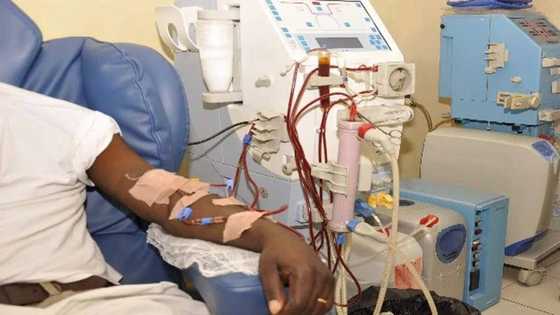 In Kano, inadequate dialysis machines threaten lives of hundreds of kidney disease patients