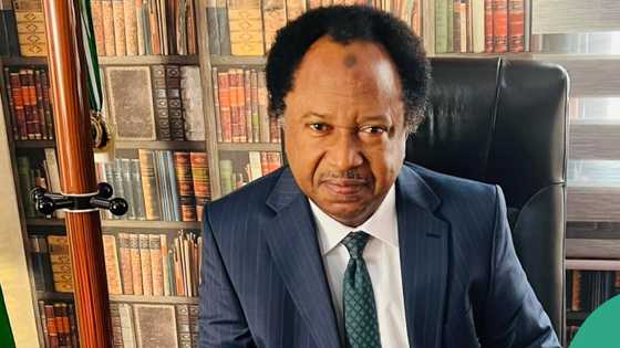 “Nigeria gradually becoming a war ground”: Shehu Sani reacts as bandits kill immigration officers in Kebbi
