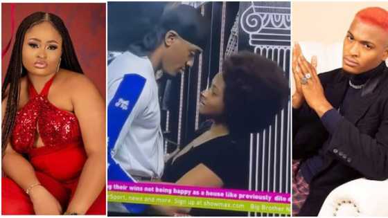 "U don't rock my yansh like other girls": Phyna complains to Groovy, he gives her more strong body contact