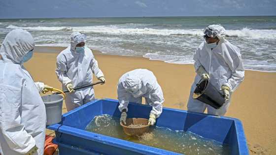 Singapore firm rejects $1bn Sri Lankan pollution damages