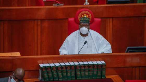 'Masana'anta ce' - Ahmed Lawan ya fadi wasu sirruka a kan kungiyar Boko Haram