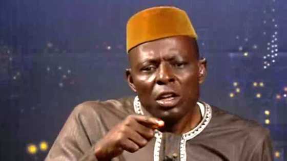 APC chieftain asks President Buhari to sack Pantami over alleged links to terrorists