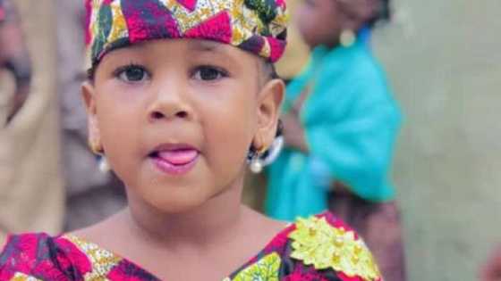 Kisan Hanifa: Rashin lauya da zai kare su Tanko ya janyo jinkiri a shari'ar da ake musu