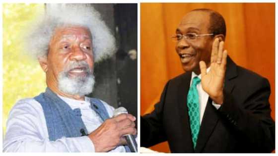 “Emefiele committed crime against humanity": Wole Soyinka breathes fire over naira swap policy