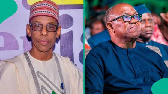 Tikitin ADC: Baba Ahmed ya samo mafita ga Peter Obi kan fafatawa da su Atiku, Amaechi