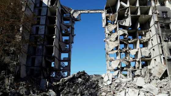 World economy to slow, 'paying the price of war': OECD