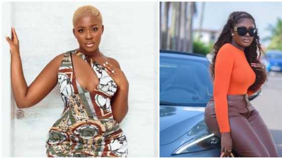 Fella Makafui: Internet users bash Ghanaian actress for see-through leggings at Wizkid's concert