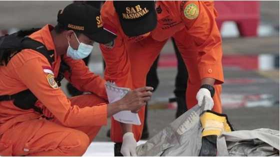 Indonesia plane crash: Rescuers make new discoveries after Boeing 737-500 tragedy (photo)