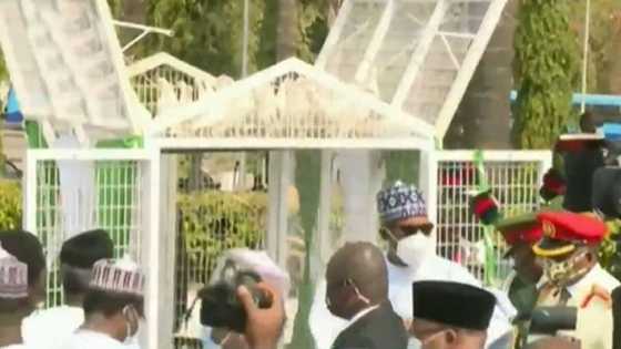 Tantabarun da Buhari ya saki a bikin ranar tunawa da Sojoji sun ki tashi (Bidiyo)