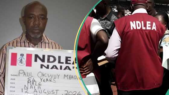 Vietnam-bound man excretes 88 cocaine pellets after 4 days in NDLEA custody, details emerge