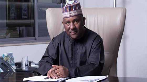Rabiu Abdulsamad's BUA secures N233bn loan for cement factory expansion in Sokoto, targets Dangote's dominance