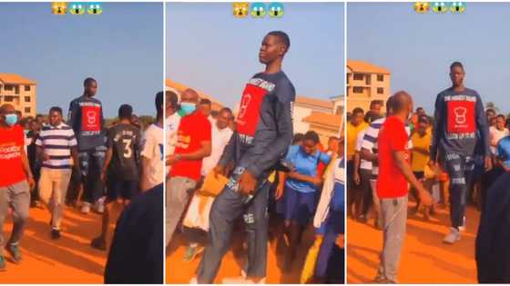 Return of Goliath: Very tall man turns heads on streets, people follow him around in trending video
