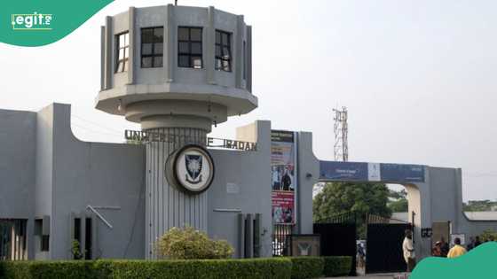 Armed robbers storm UI's female hostel, details emerge