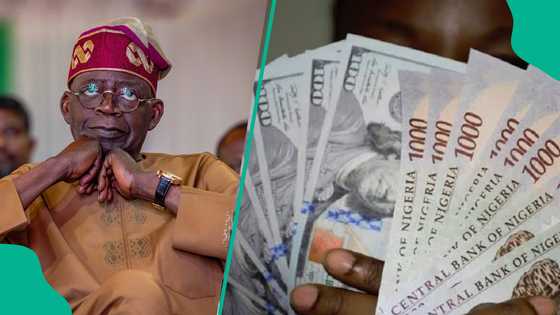 Nigeria’s debt grows by N4.72 trillion amid naira depreciation