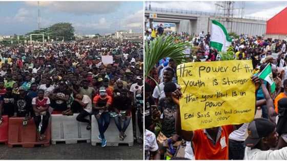 BREAKING: Court orders CBN to unfreeze bank accounts of EndSARS protesters