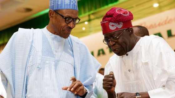 This is Tinubu's place in APC - Presidency