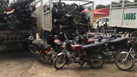 Okada ban: Lagos govt shows no mercy, set to crush another 2,228 motorcycles
