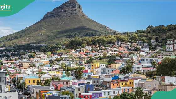 Top 10 happiest countries in Africa in 2026 per latest ranking