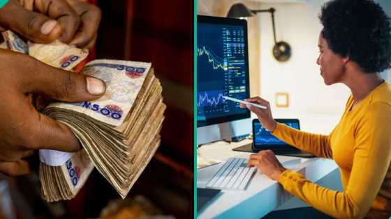 Stock market extends bullish performance as investors gain N190bn in one day