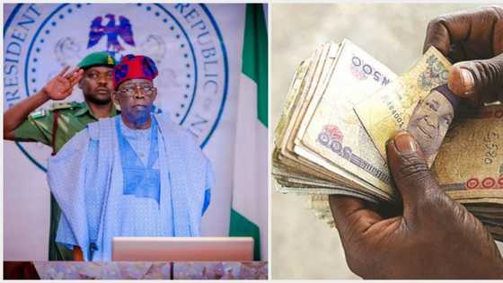 President Tinubu's advisory council suggests new date for old naira notes deadline.
