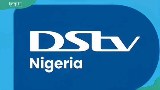 DStv Yanga channels list, complete with pricing and benefits