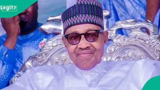 An jero 'zunuban' da marigayi Buhari ya aikata a mulkinsa daga 2015 zuwa 2023