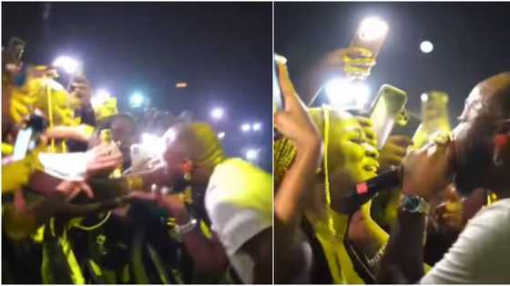 Ladies go wild in excitement as Davido moves close to them during powerful performance in Sweden, fans react