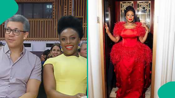 Chimamanda Adichie, husband lose 21-Month-Old twin son, fans mourn: "No woman deserves this"