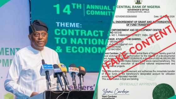 CBN denies approving fake $46Bn grant for empowerment