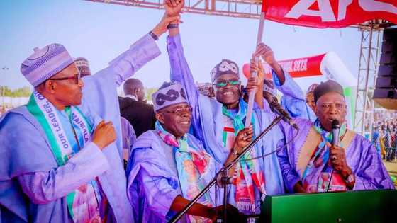 2023 presidency: ZLP, APM, 8 other parties endorse Tinubu, gives reason