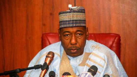 Gwamna Zulum zai gwangwaje malaman makaranta da ƙarin Albashi a jihar Borno