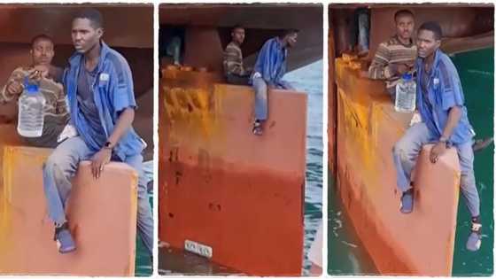 "They ran out of food": 4 Nigerians sit on rudder of ship for 14 days across Atlantic Ocean, land in Brazil