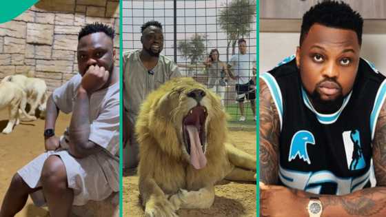"Egungun in lions' den": Nigerian content creator compared to Daniel as he visits zoo in Dubai