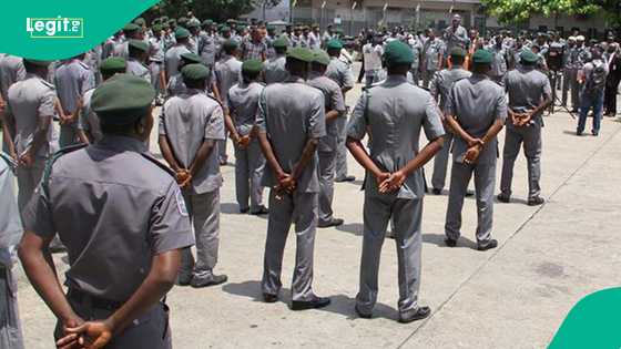 Nigeria’s customs seizes N352 million worth of smuggled goods as dealers hike rice price