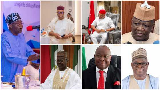 National Assembly: How aspirants woo lawmakers with dollars