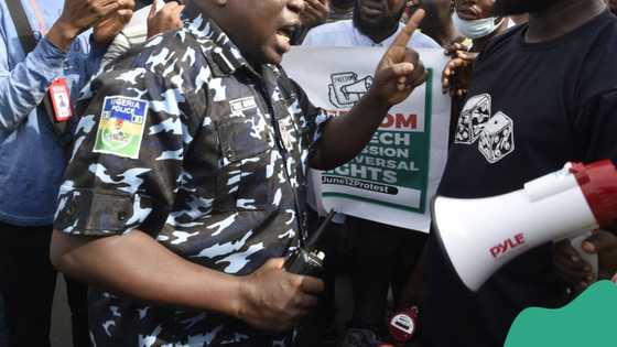 Imo guber poll: Gunshots as police clash with party agents