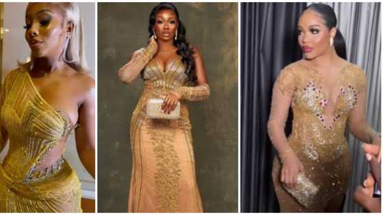 Bobrisky's birthday: 8 stars who slayed at crossdresser's party in stunning looks