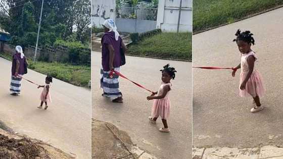 "The pikin stubborn": Grandma ties granddaughter's hand with a rope while taking a stroll, hilarious video trends