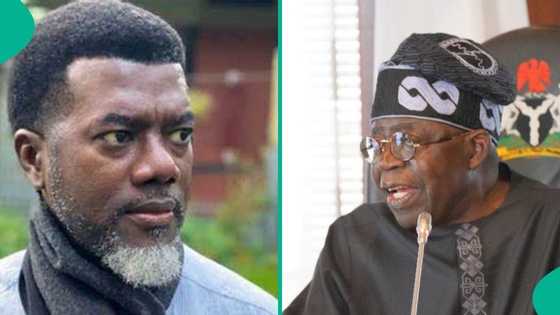 Reno Omokri fires shot at Nigerians, backs Presidency's move on N10bn mini-solar grid at State House