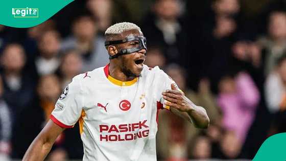 Turkish fan issues warning to Victor Osimhen after shouting at Galatasaray teammates